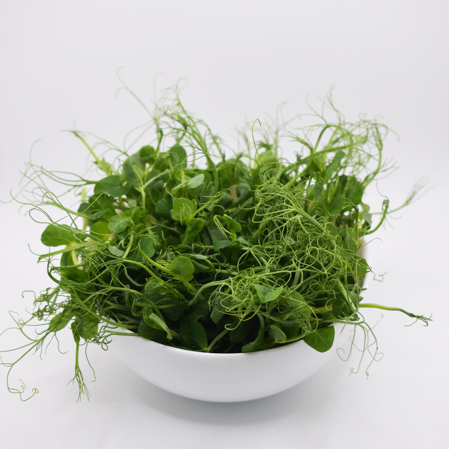 Pea Microgreens